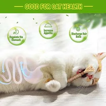 BAWAN Silvervine Cat Chew Toys for Healthy Play