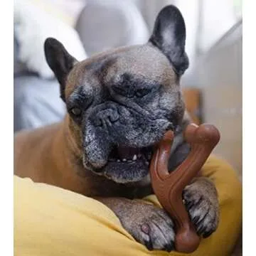 Nylabone Ergonomic Hold Wishbone Power Chew Toy for Dogs, Dog Toys for Aggressive Chewers, Bison Flavor, Large - Up to 50 lbs, 1 Count