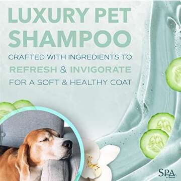 TropiClean SPA Lavish Dog Shampoo | Fresh Scented Deodorizing Dog Shampoo | Naturally Derived Salon Grade Ingredients | Made in the USA | 16oz