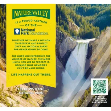 Coconut Almond Protein Granola Bars – 5 Count