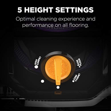 Eureka Powerful Lightweight Upright Vacuum for Pets