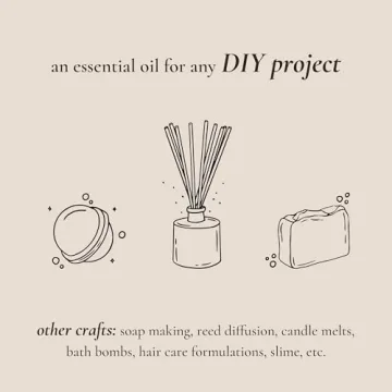 P&J Holiday Fragrance Oil Set with Six Festive Scents