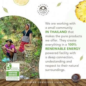 Natural Shampoo for Oily Hair & Scalp - Organic, Raw & Wildcrafted with Probiotics, Hypoallergenic & Sulfate Free Herbal Shampoo for Oil Control, Dandruff, Seborrheic Dermatitis - 9 Oz, Original