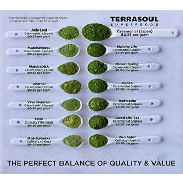 Premium Terrasoul Organic Matcha Green Tea in Glass