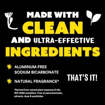 Molly's Suds Sink and All Purpose SCRUB | Gently Removes Stains, Scrubs Away Grease & Gime, Buffs out Scratches | Plant and Mineral Based | 2 Pack, Lavender Scent