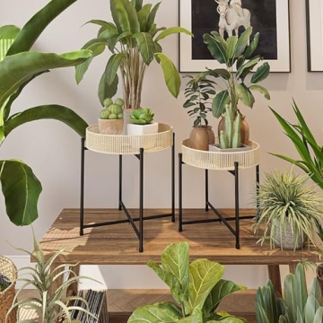 Bamworld Set of 2 Elegant Plant Stands for Home Use