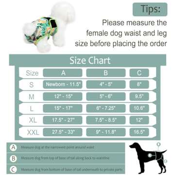 Premium Grecle Washable Dog Diapers for Females