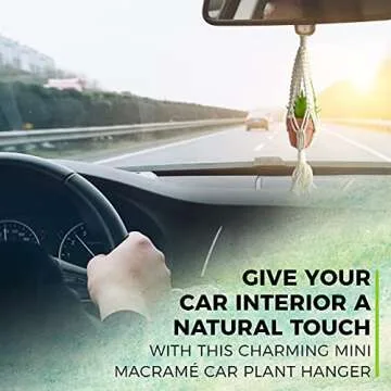 2 Pcs Set Hanging Succulent Pots with Essential Oil And Artificial Succulents - Perfect for Home, Office, or Auto Rear View Mirror Acessories For Men Women. Boho Hanging Decor Decoration, Oil Diffuser