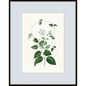 Vintage Floral Botanical Wall Art Prints – Set of 4