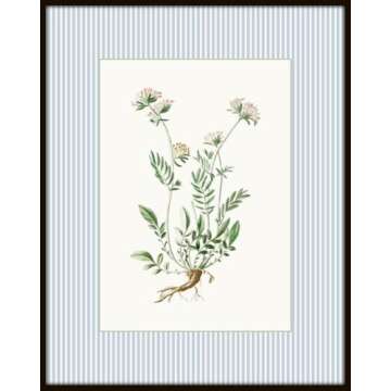 Vintage Floral Botanical Wall Art Prints – Set of 4