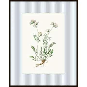 Vintage Floral Botanical Wall Art Prints – Set of 4