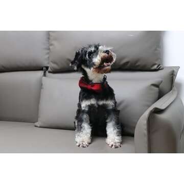 Lionet Paws Adjustable Cotton Dog Collar with Bowtie