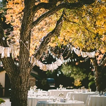 Outdoor String Lights 25FT with Edison Bulbs