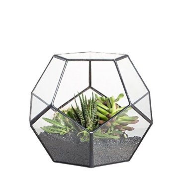 NCYP Small Plants Terrarium - Stylish Geometric Glass Planter