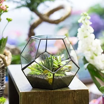 NCYP Small Plants Terrarium - Stylish Geometric Glass Planter