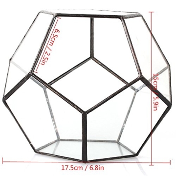 NCYP Small Plants Terrarium - Stylish Geometric Glass Planter