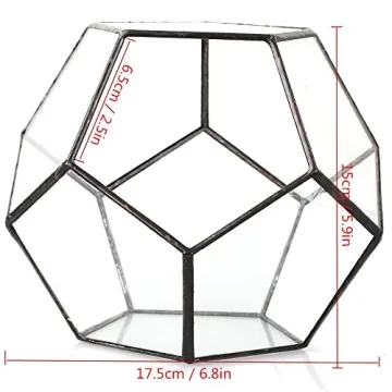 NCYP Small Plants Terrarium - Stylish Geometric Glass Planter