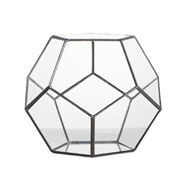 NCYP Small Plants Terrarium - Stylish Geometric Glass Planter