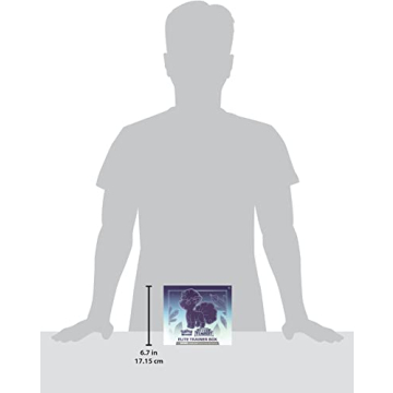 Pokémon TCG Sword & Shield Silver Tempest Bundle