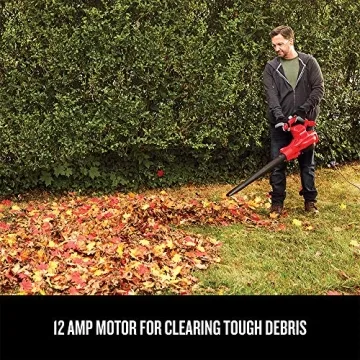 CRAFTSMAN 3-in-1 Leaf Blower and Vacuum Up to 260 MPH