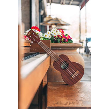 Kala KA-15S Mahogany Soprano Ukulele with Aquila Strings