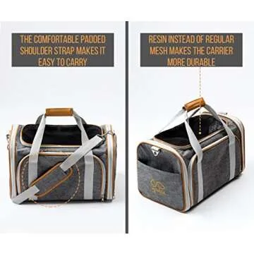 Heated Cat House for Comfort on the Go