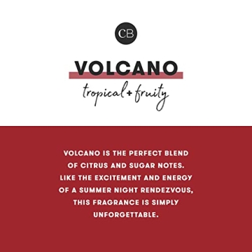 Capri Blue Holiday Volcano Candle - Luxe Scented Home Decor