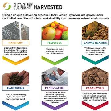 Fluval Bug Bites Color Enhancing Fish Food for Betta Fish, Flakes for Small to Medium Sized Fish, 0.63 oz., A7366, Brown