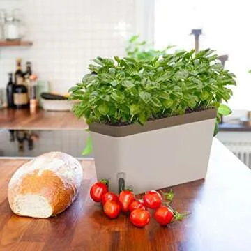 Amazing Creation Self-Watering Herb Planter Set for Windowsill