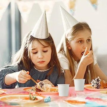 JOLLY PARTY 2 oz Paper Cups - 360 Pack Disposable Mini Cups