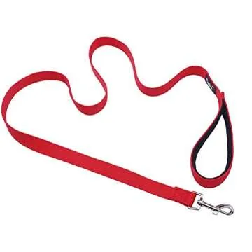 PUPTECK Reflective Dog Leash with Comfortable Padded Handle Durable Nylon Dog Lead for Small Medium and Large Dogs Cats Walking Running Training Outside, Red, M