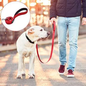 PUPTECK Reflective Dog Leash with Comfortable Padded Handle Durable Nylon Dog Lead for Small Medium and Large Dogs Cats Walking Running Training Outside, Red, M