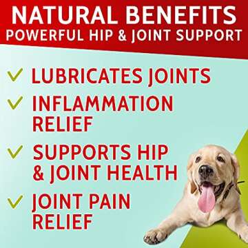 PAWFECTCHEW Hemp + Glucosamine Treats for Dogs - Made in USA Hip & Joint Supplement w/Hemp Oil Chond...