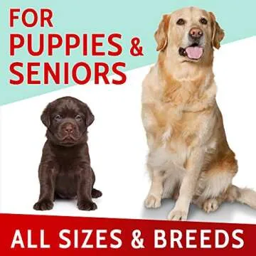 PAWFECTCHEW Hemp + Glucosamine Dog Chews Made in USA