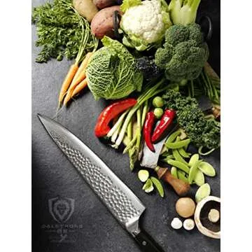 Dalstrong Chef Knife - 10.25 inch Damascus AUS-10V Steel