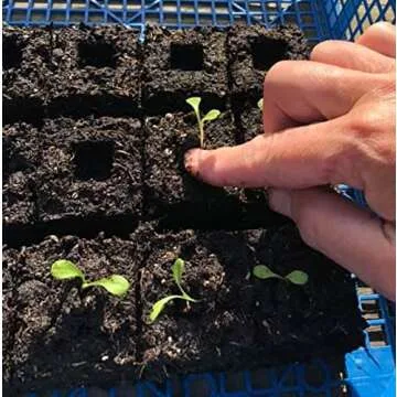Ladbrooke Snap-in Cubic Inserts for Soil Blockers