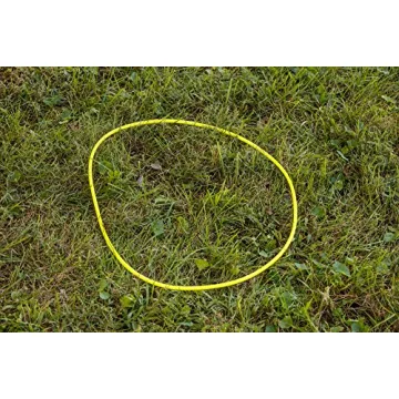 Safe and Fun Triumph Sports USA Backyard Darts Set