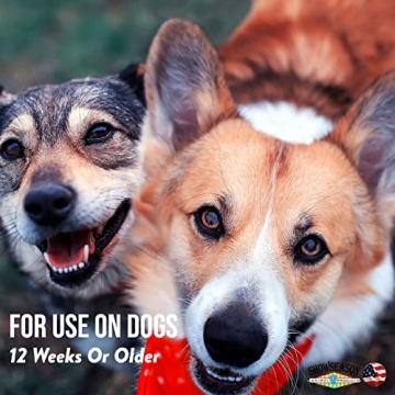 Showseason Rainshower Pet Cologne for Dogs - Long-Lasting Odor Control