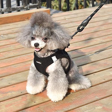 Matilor Dog Harness Step-in for Small Medium Dogs Black