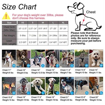 Matilor Dog Harness Step-in for Small Medium Dogs Black