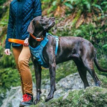 Kurgo Journey Air Dog Harness, Reflective Vest for Hiking & Running