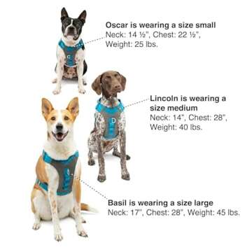 Kurgo Journey Air Dog Harness for Active Dogs Outdoor