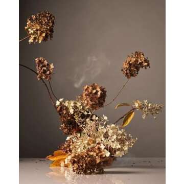 Homecourt Dish Soap, Dishwashing Liquid with Clean Ingredients, Non-Toxic & Skin-Safe, Safe for People & Pets, Cece, 16 oz