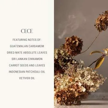 Homecourt Dish Soap, Dishwashing Liquid with Clean Ingredients, Non-Toxic & Skin-Safe, Safe for People & Pets, Cece, 16 oz