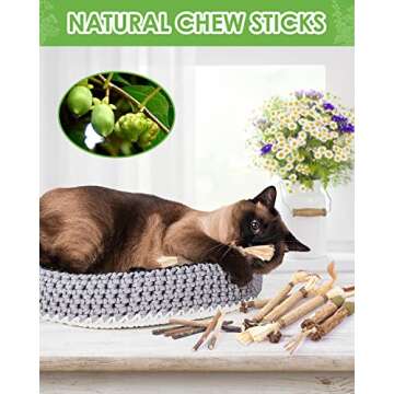 TINDTOP Catnip Chew Toys for Cats, 12 Pack Natural Silvervine Sticks for Kittens Teeth Cleaning, Mat...