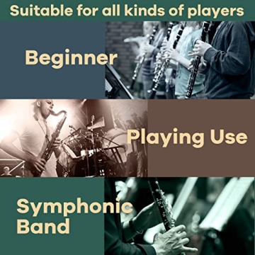 Clarinet Reeds 2.5 - CeMeow 10-Pack for Beginners