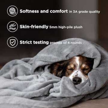 Bedsure Fleece Throw Blanket for Couch Grey - Lightweight Plush Fuzzy Cozy Soft Blankets and Throws for Sofa, 50x60 inches