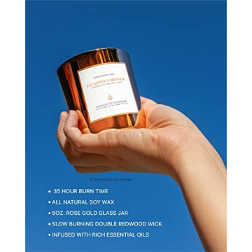 Benevolence Eucalyptus Orange Wood Wick Candles for Home