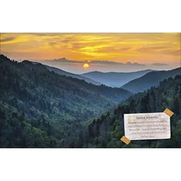 The National Parks: Discover all 62 National Parks of the United States!