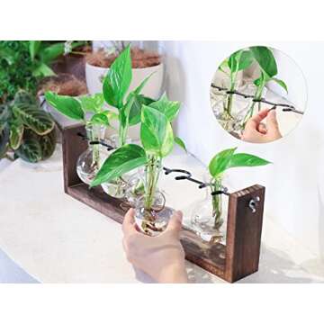 Ivolador Plant Terrarium, Wall Hanging Glass Planter with Wooden Stand Tabletop Propagation Station with Metal Swivel Holder 3 Bulb Containers for Hydroponics Plants Home Office Decor
